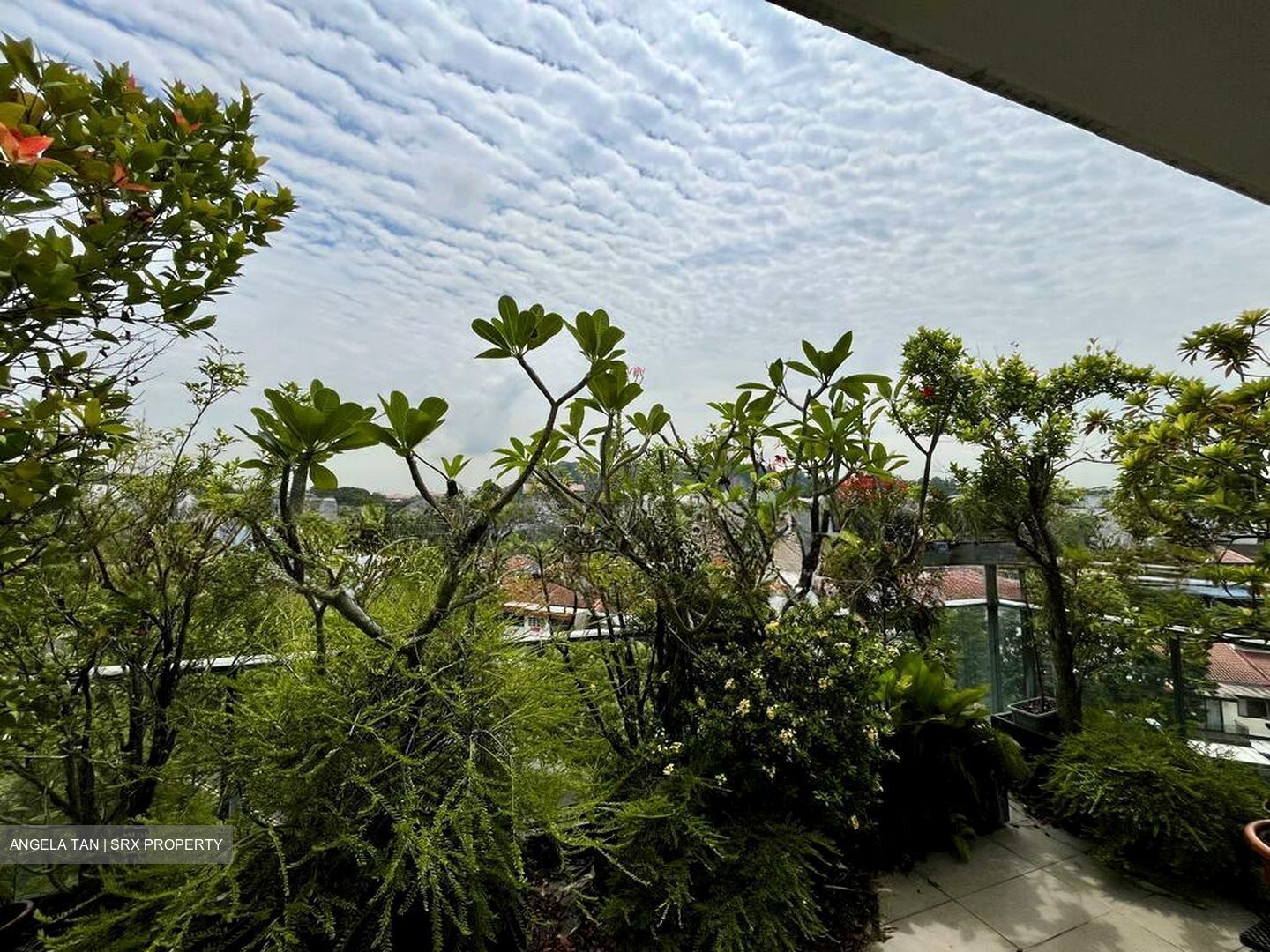 Terrene At Bukit Timah (D21), Condominium #567416111